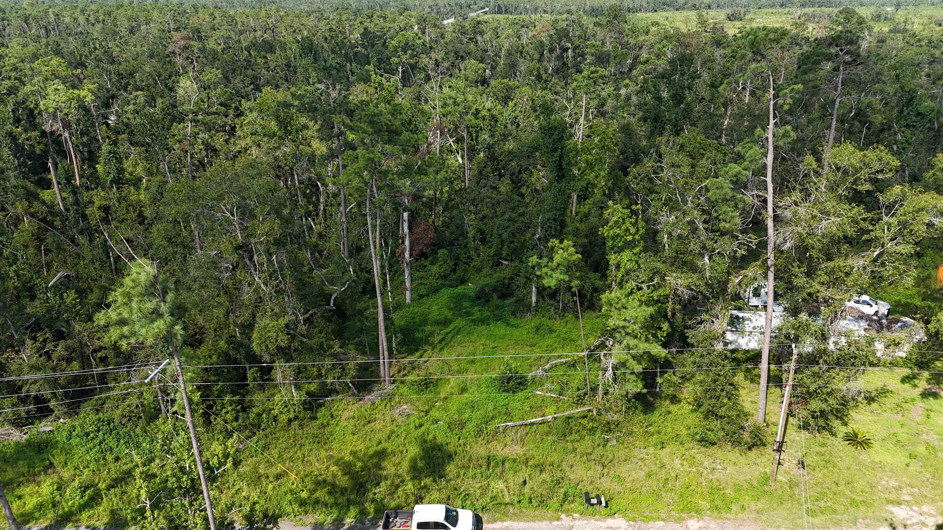 0 Northeast Blue Springs Church Road Lee, FL 32059 - Photo 9 of 17