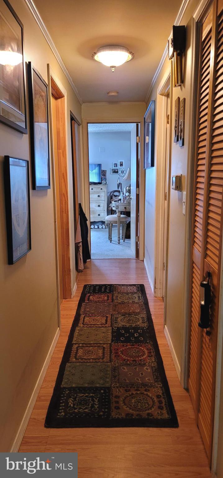 130 Country Lane Buena, NJ 08310 - Photo 16 of 41