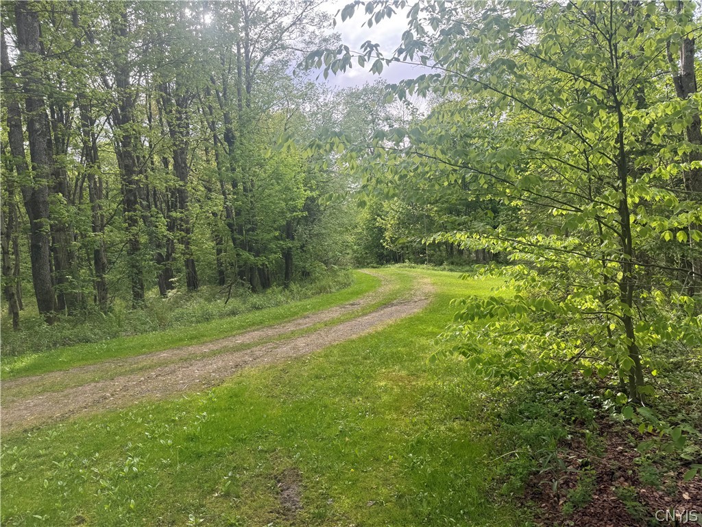 Lot #9 Lost Ridge Road, Unit 9 Camden, NY 13316 - Photo 12 of 27