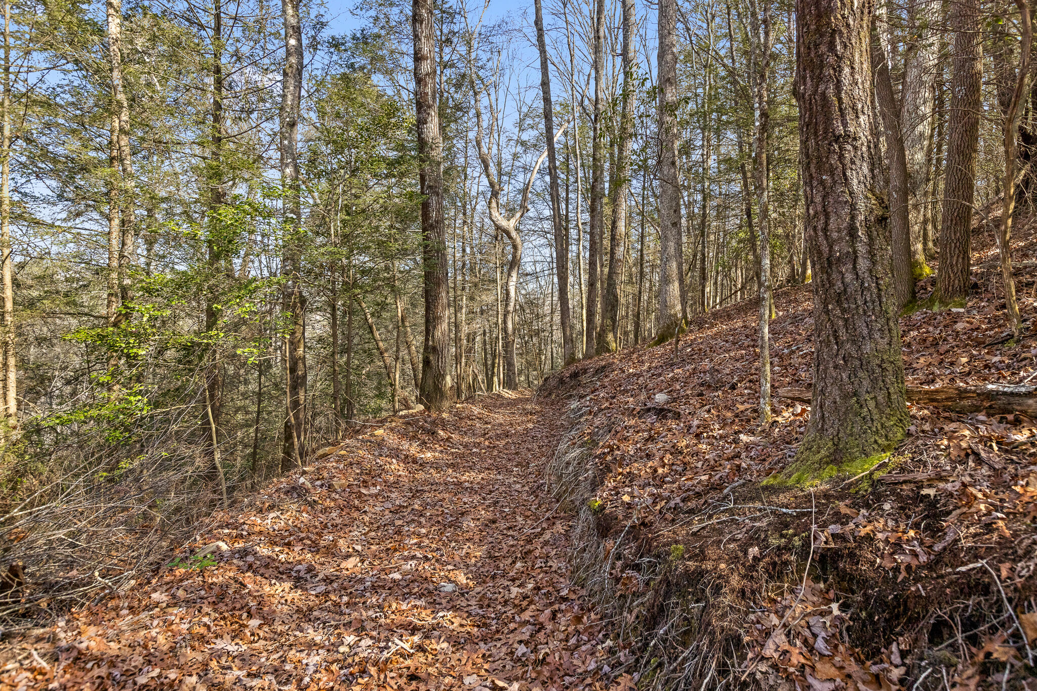 4915 North Fairmount Road Signal Mountain, TN 37377 - Photo 54 of 73 Fairmount-48
