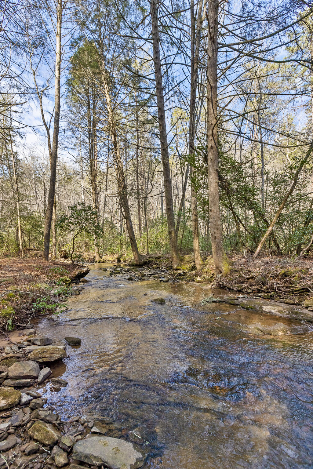 4915 North Fairmount Road Signal Mountain, TN 37377 - Photo 63 of 73 Fairmount-57