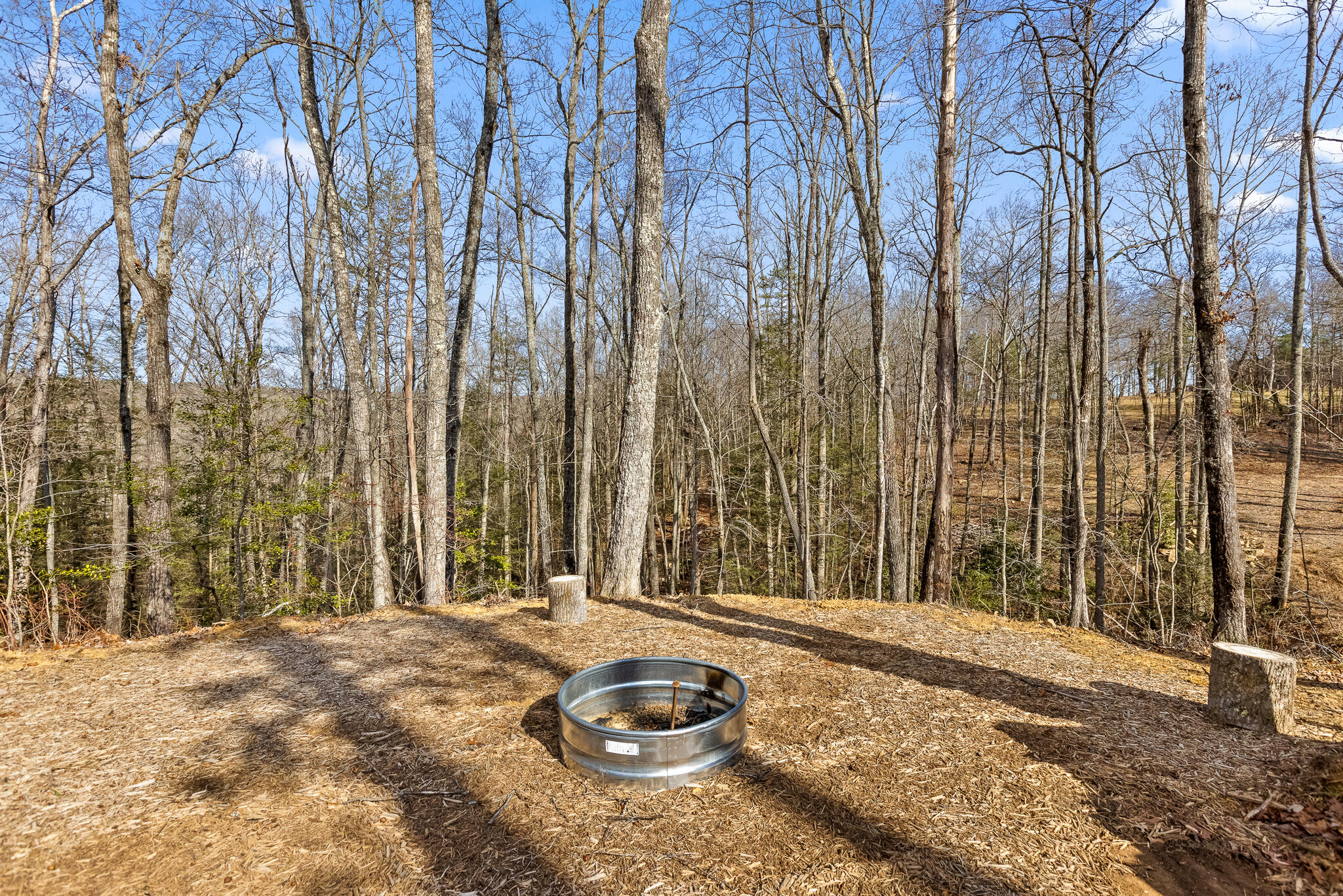 4915 North Fairmount Road Signal Mountain, TN 37377 - Photo 65 of 73 Fairmount-59