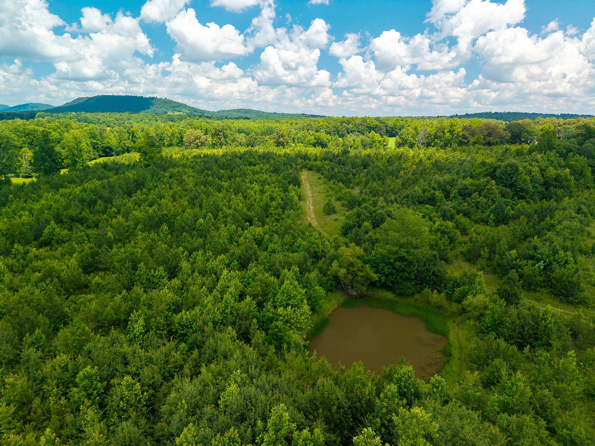 0 Gunter Road McMinnville, TN 37110 - Photo 18 of 24