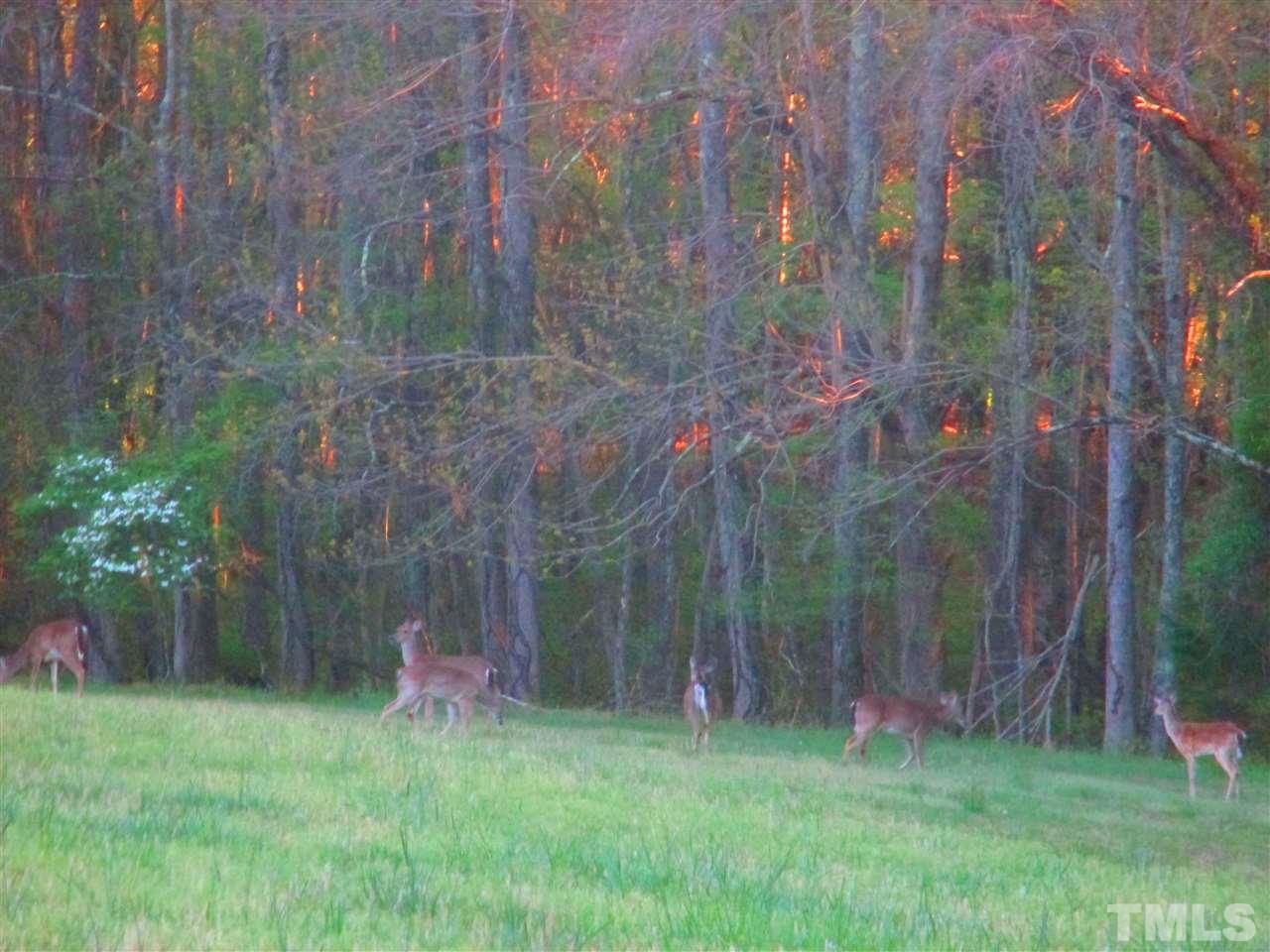 1416 Flying Hawk Road Apex, NC 27523 - Photo 2 of 13 Gallery Image 2