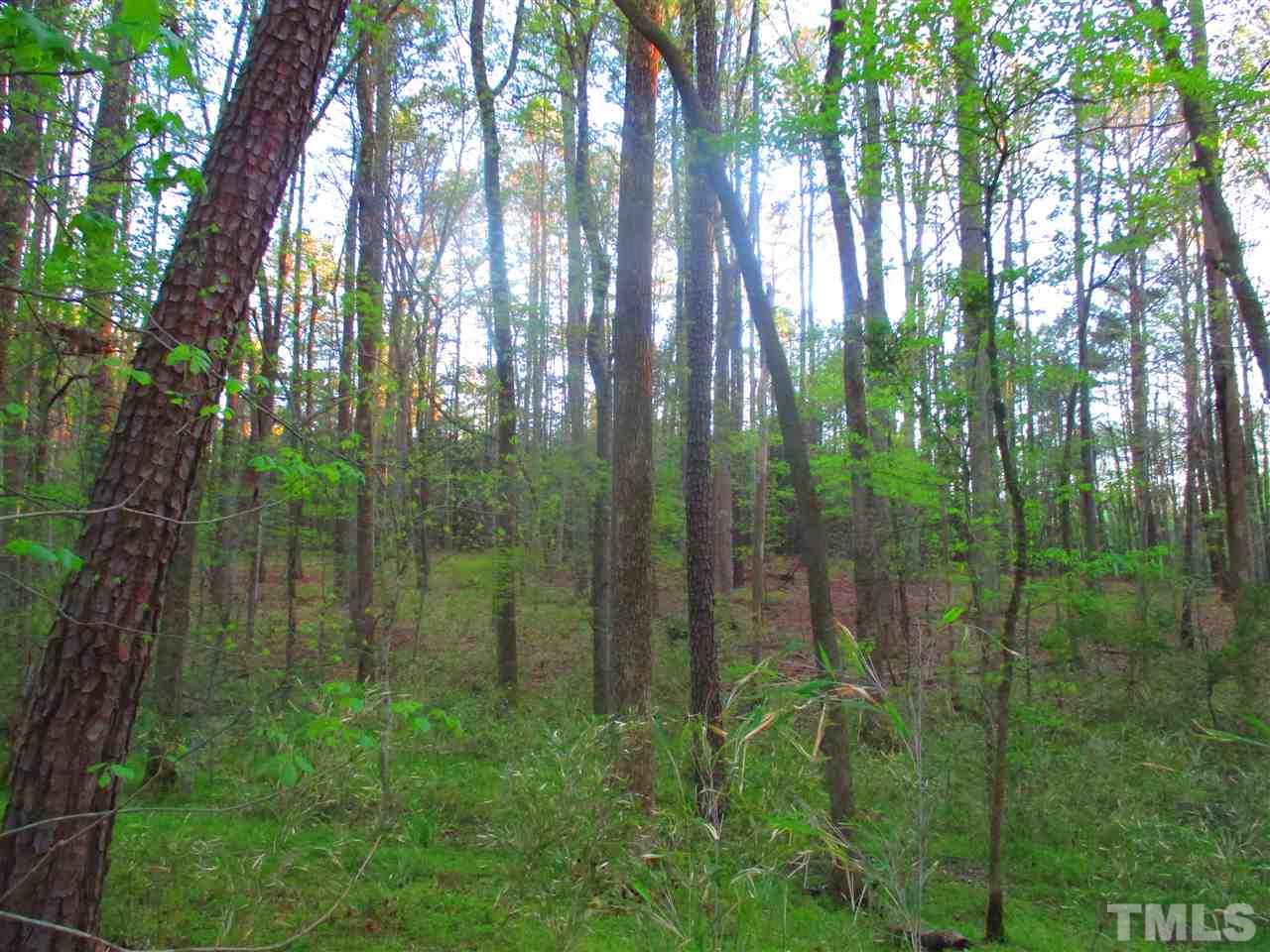 1416 Flying Hawk Road Apex, NC 27523 - Photo 7 of 13 Gallery Image 7
