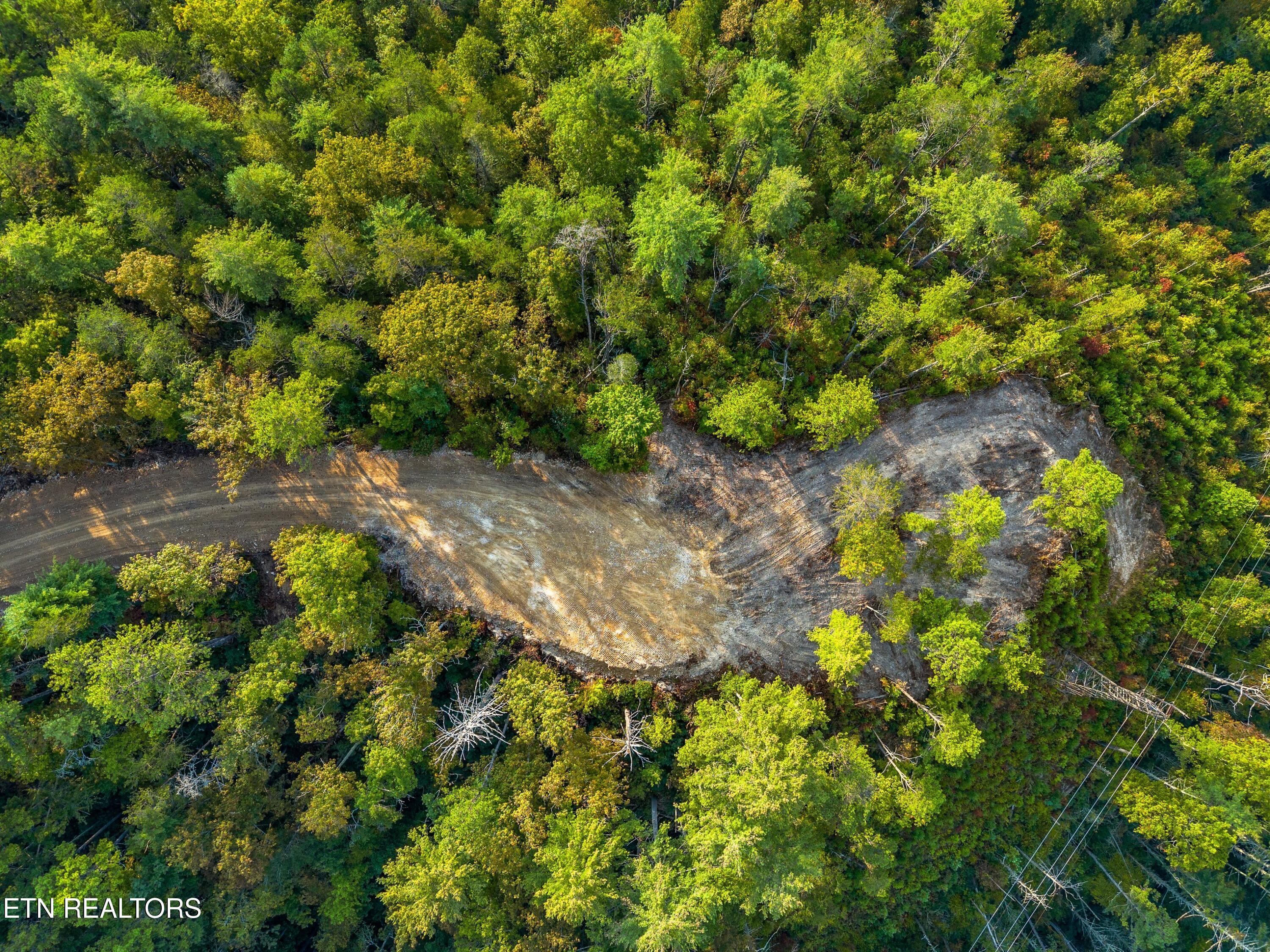 3229 Beth Way Hartford, TN 37753 - Photo 5 of 19 009-BigCreekRoad-Hartford-TN-37753-SMALL
