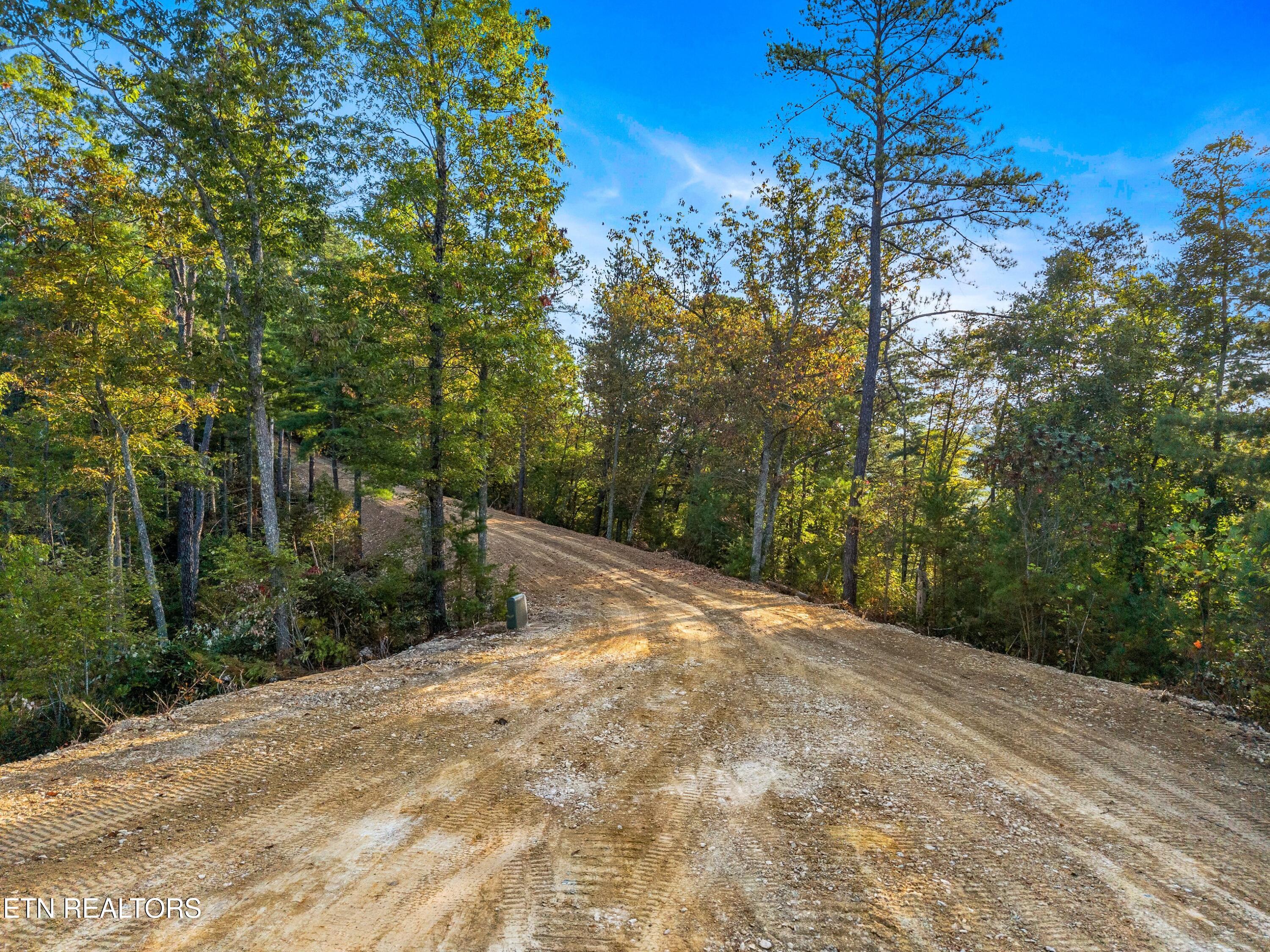 3229 Beth Way Hartford, TN 37753 - Photo 6 of 19 011-BigCreekRoad-Hartford-TN-37753-SMALL