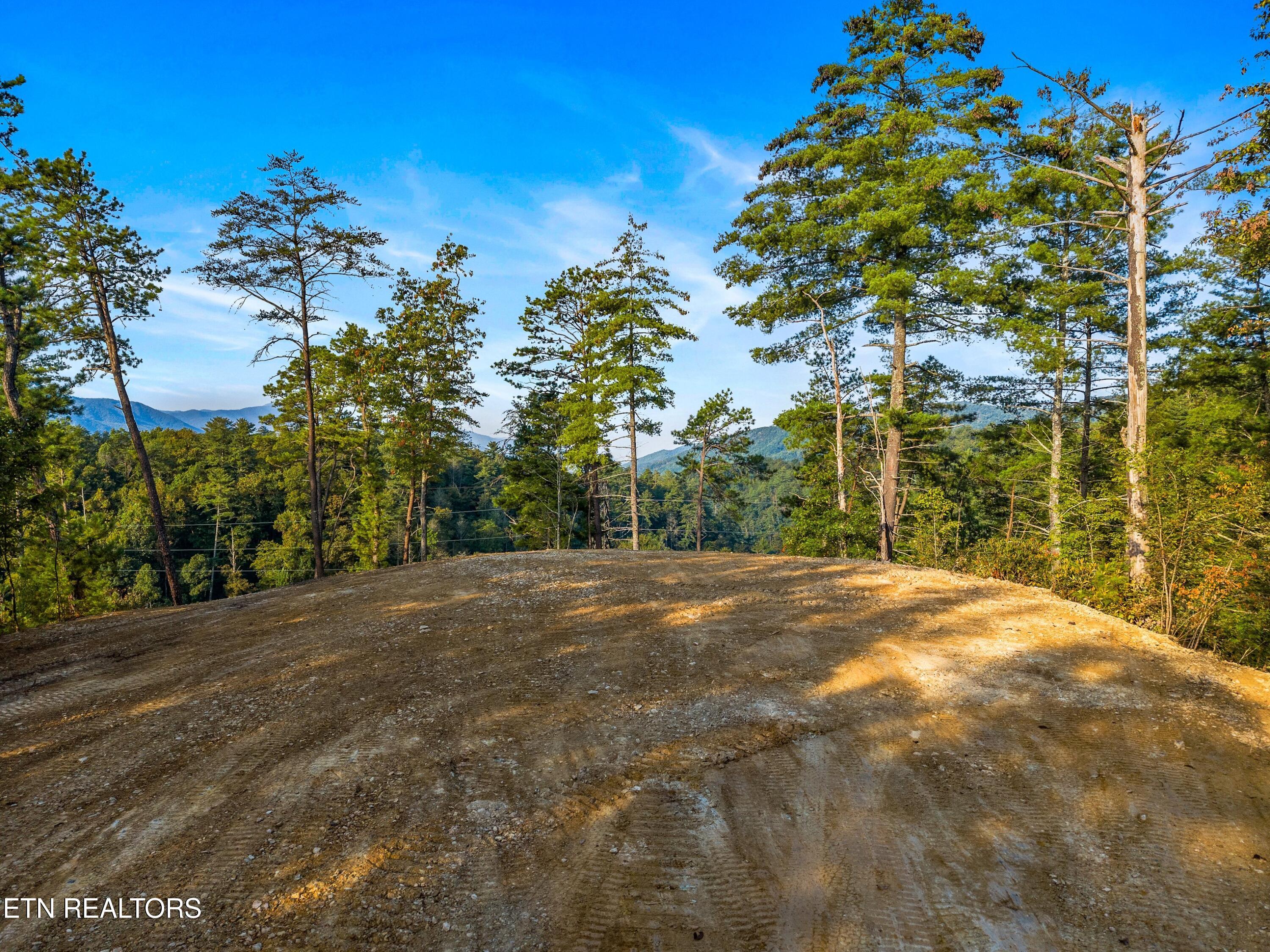 3229 Beth Way Hartford, TN 37753 - Photo 8 of 19 012-BigCreekRoad-Hartford-TN-37753-SMALL