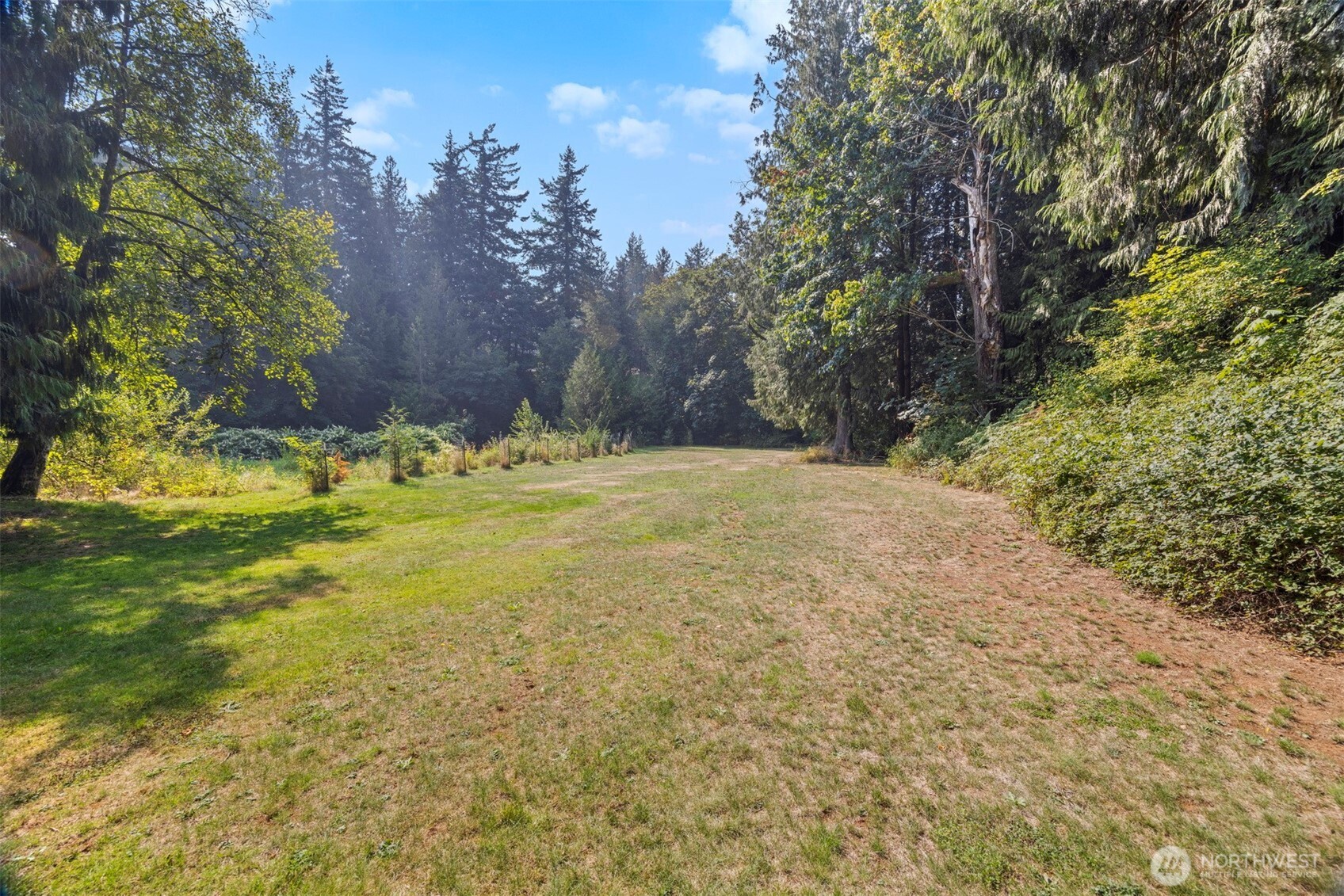 403 17th Street Lynden, WA 98264 - Photo 38 of 40 a view of a yard with yellow lighting