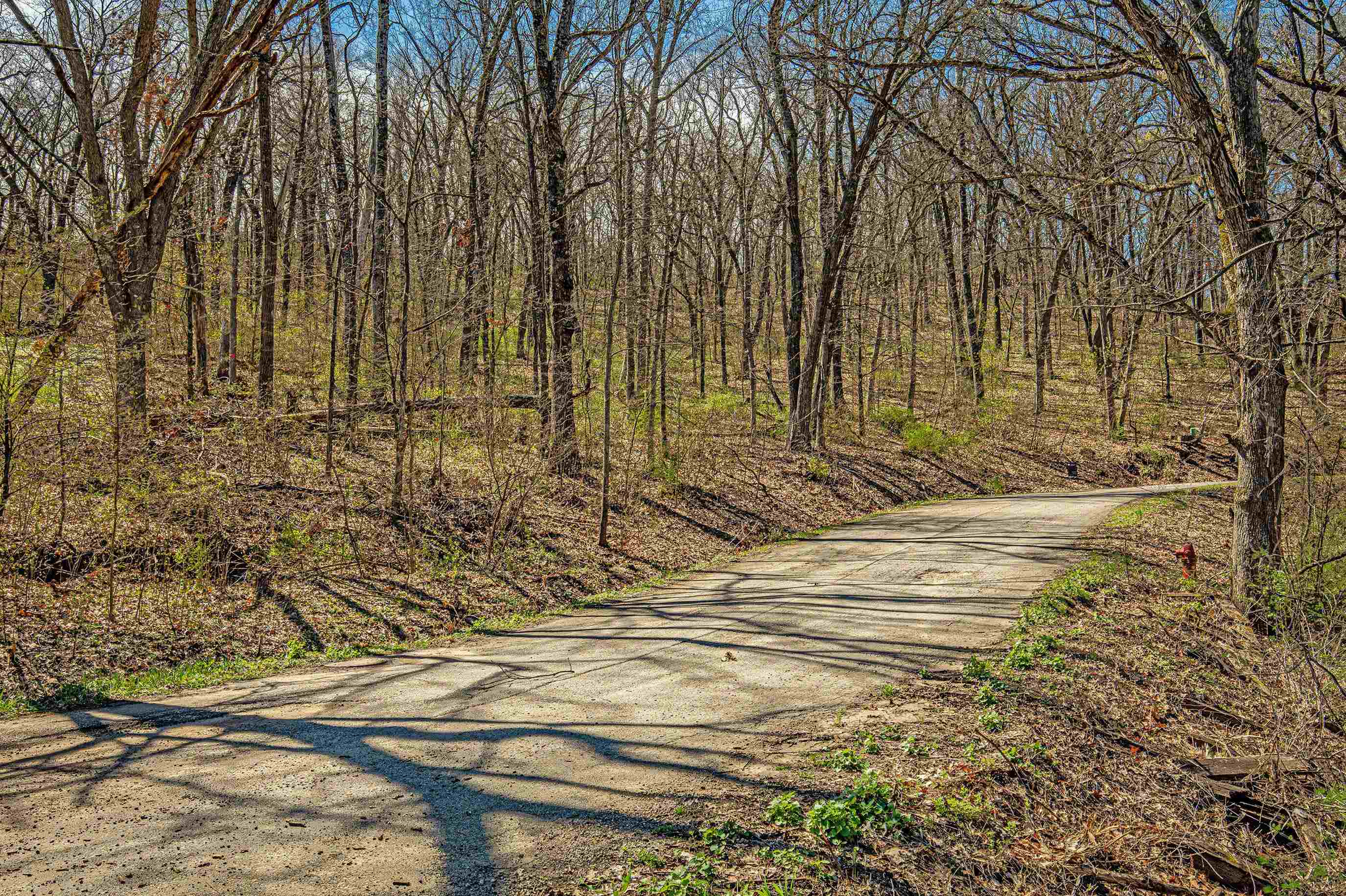 1316 South Springs Drive Spring Green, WI 53588 - Photo 3 of 11