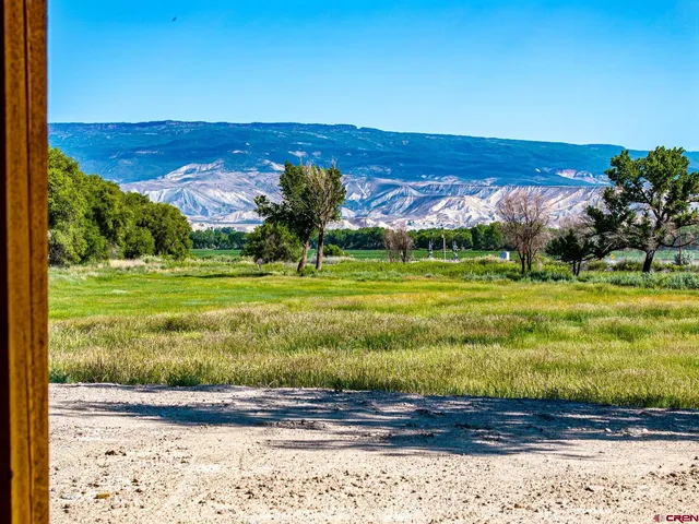 a view of a garden with a lake