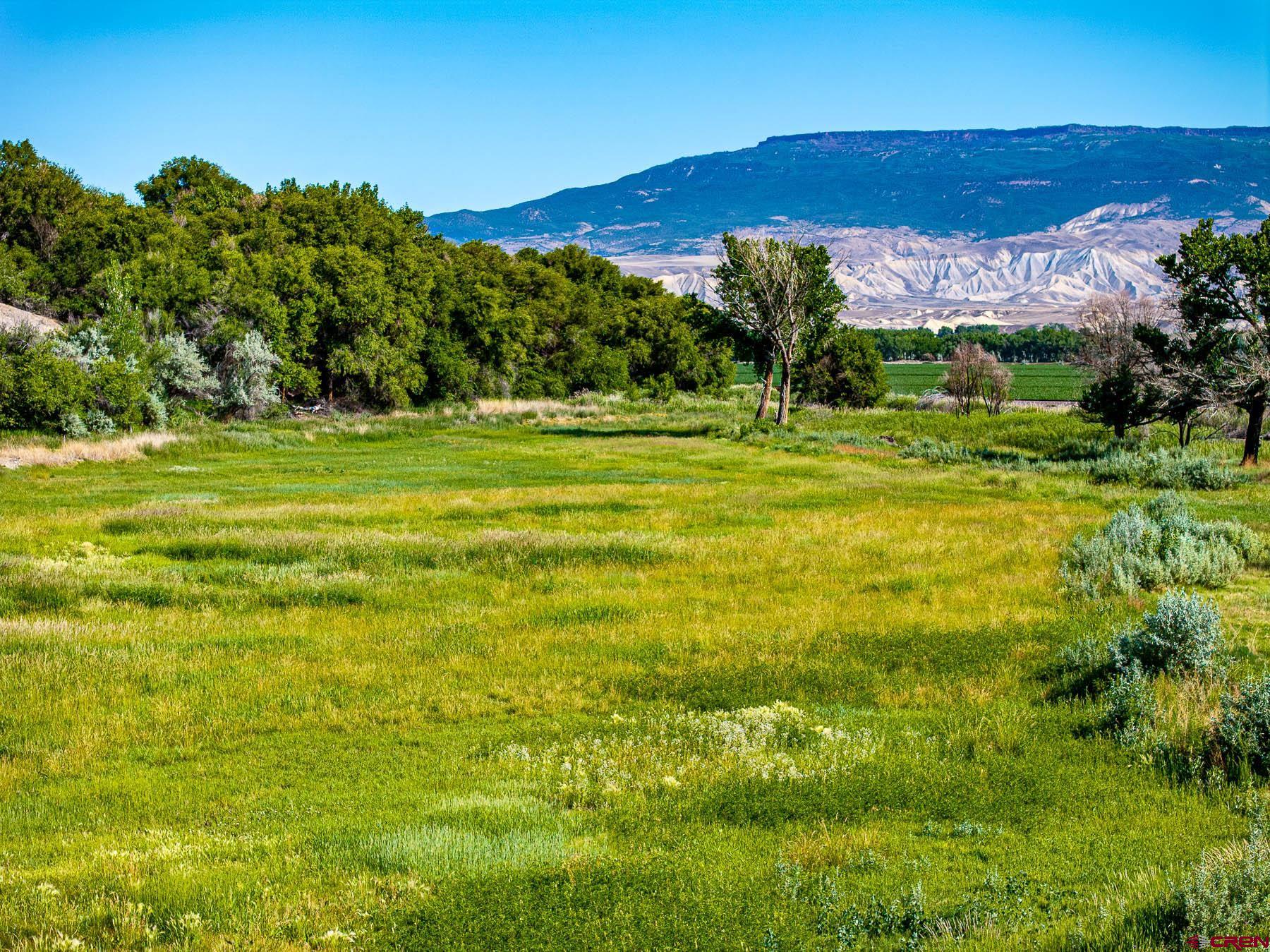 14885 G Road Delta, CO 81416 - Photo 37 of 45 a view of a lush green hillside and houses