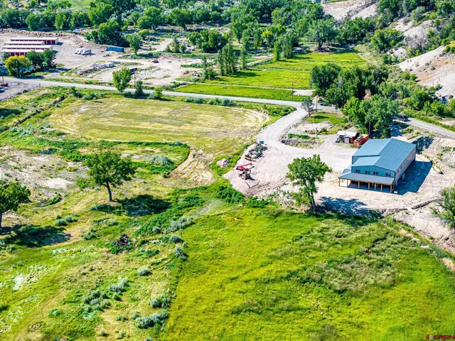 a view of a swimming pool with lawn chairs and large trees