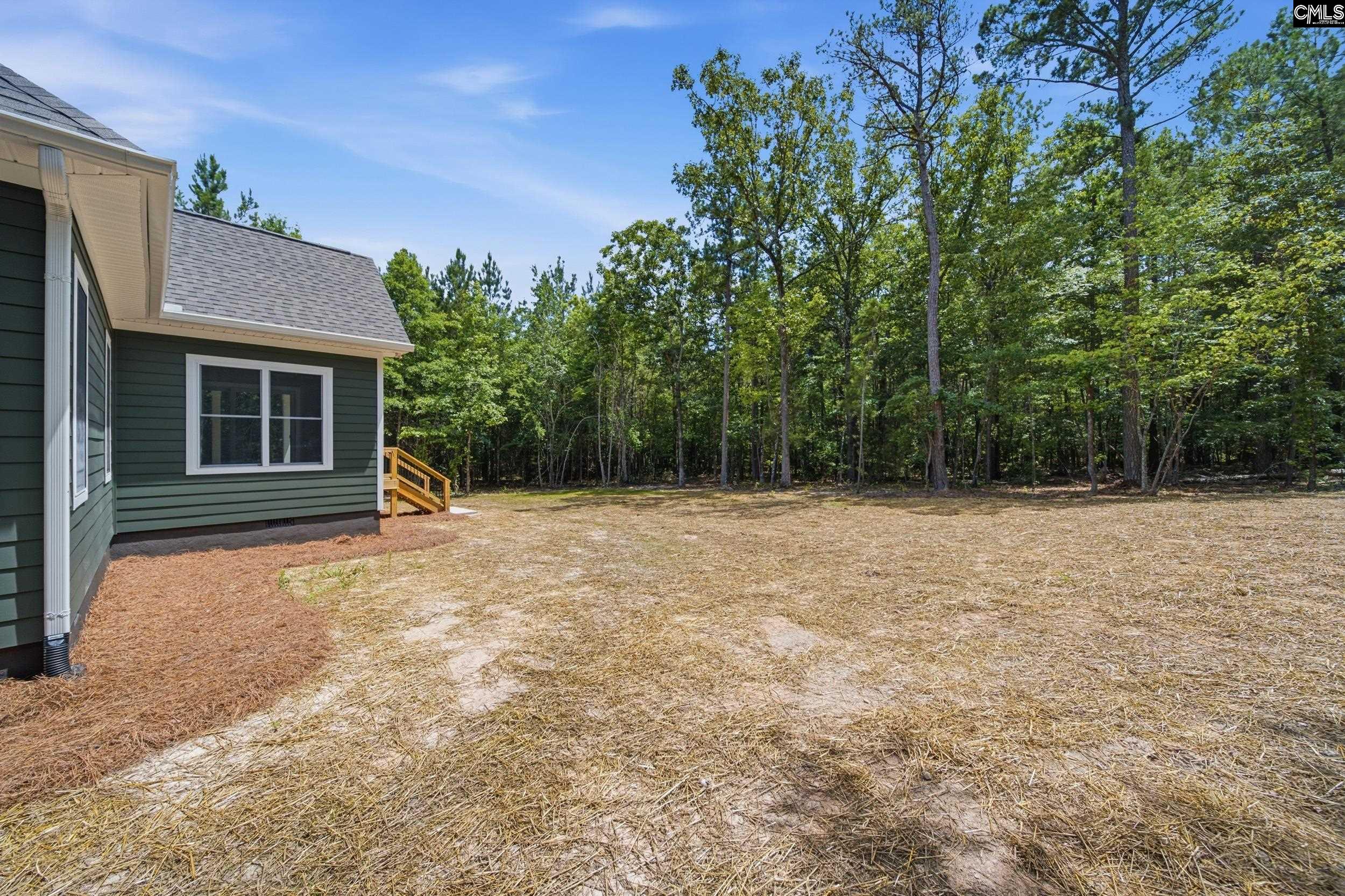 149 Primrose Lane Chapin, SC 29036 - Photo 33 of 68