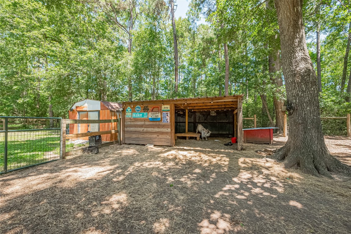 200 Little Pine Valley Road Cleveland, TX 77328 - Photo 31 of 43 Plenty of room for the animals