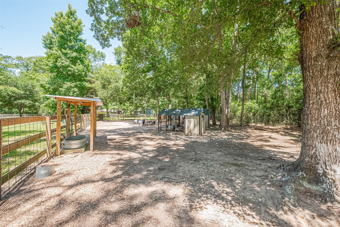 200 Little Pine Valley Road Cleveland, TX 77328 - Photo 32 of 43 a view of a yard with large trees