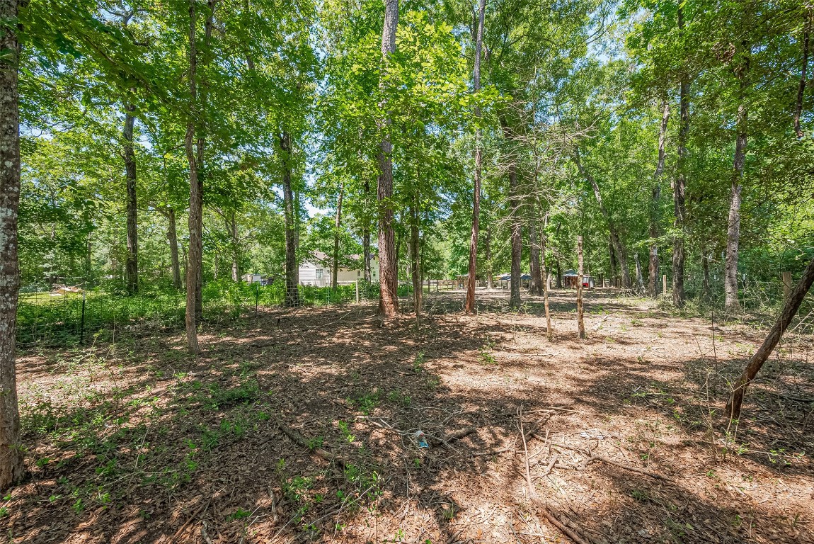 200 Little Pine Valley Road Cleveland, TX 77328 - Photo 34 of 43 a view of a forest with trees in the background