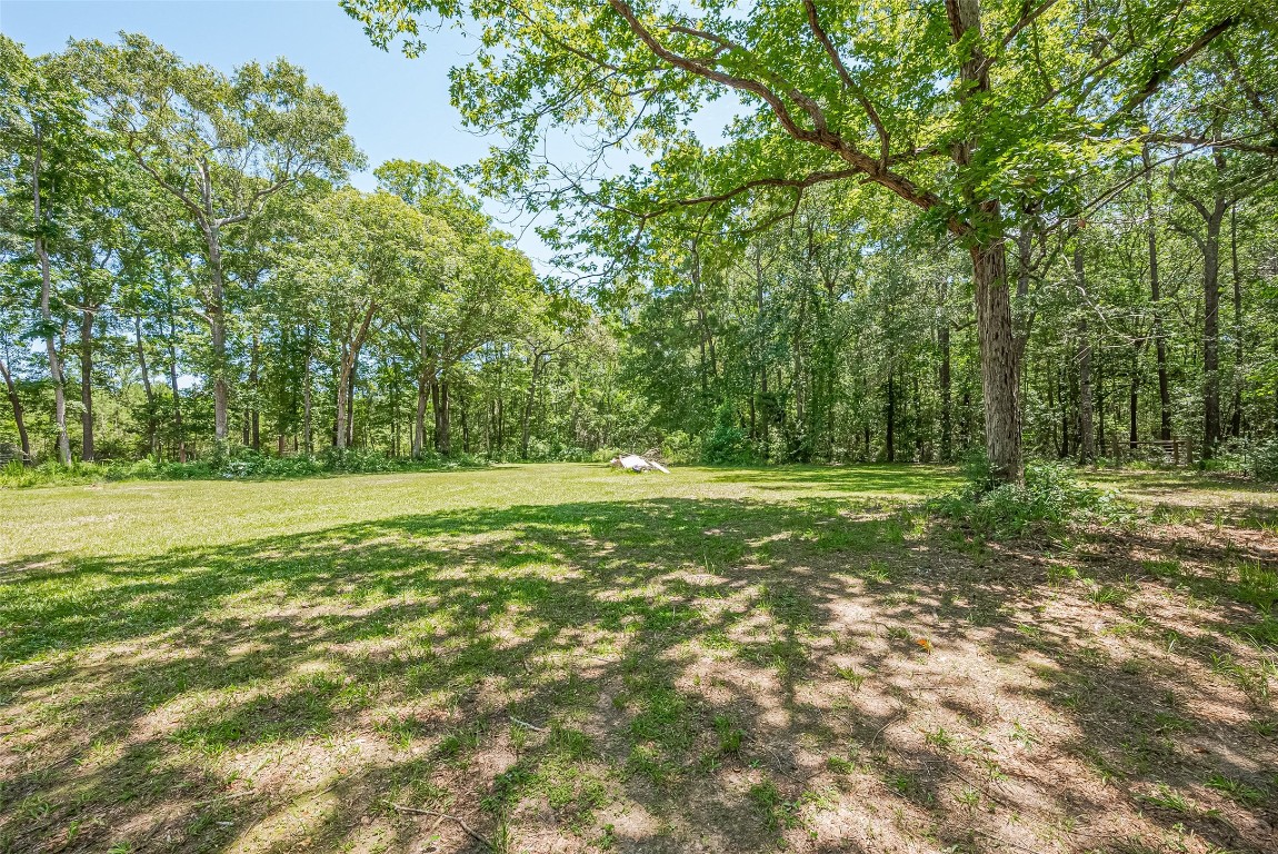 200 Little Pine Valley Road Cleveland, TX 77328 - Photo 37 of 43 a view of outdoor space with green field and trees all around