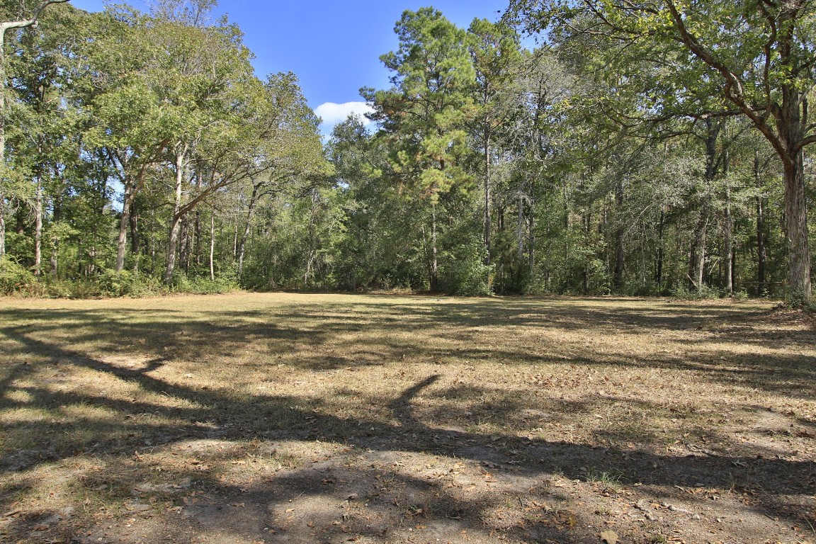 200 Little Pine Valley Road Cleveland, TX 77328 - Photo 39 of 43 a view of outdoor space and yard
