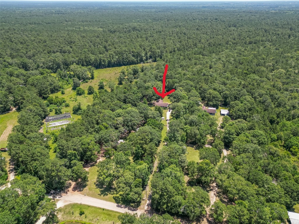 200 Little Pine Valley Road Cleveland, TX 77328 - Photo 7 of 43 Trees, trees, trees
