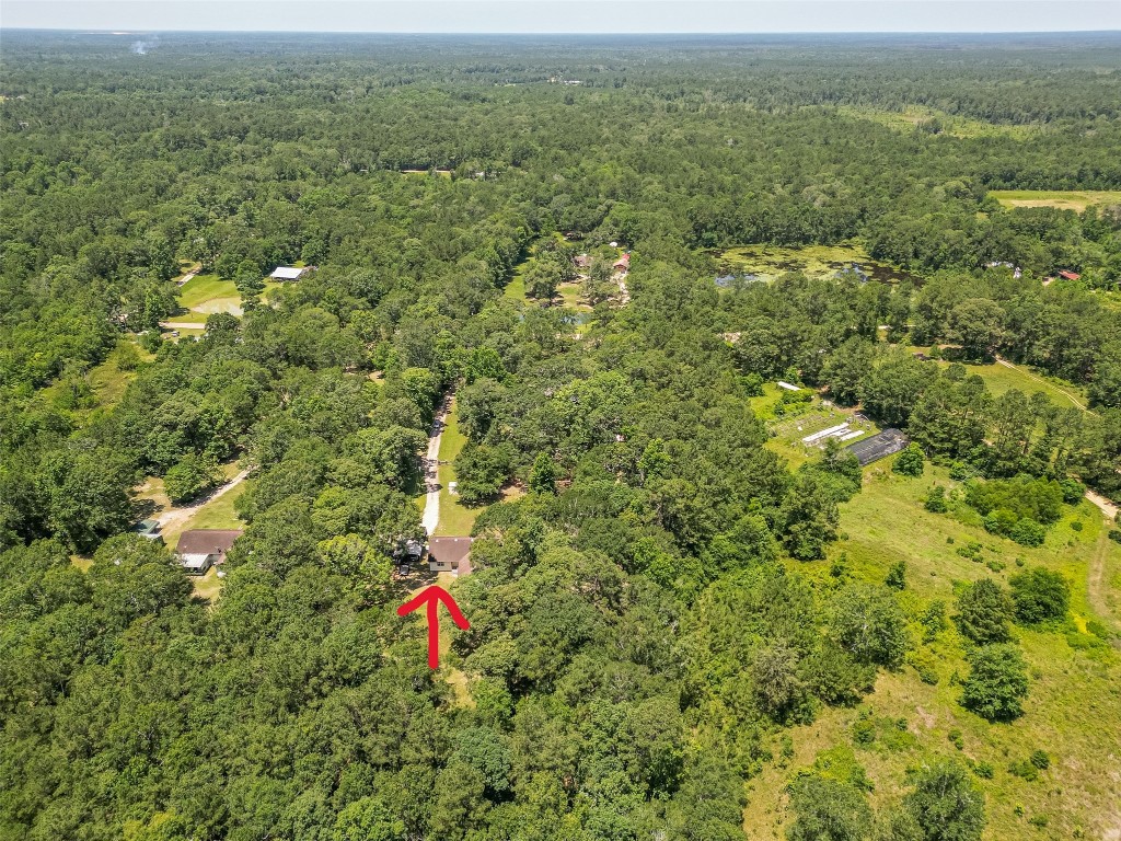 200 Little Pine Valley Road Cleveland, TX 77328 - Photo 10 of 43 a view of a field with an outdoor space