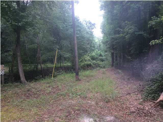 0 Long Creek Landing Road Ridgeville, SC 29472 - Photo 2 of 6 Additional Photo