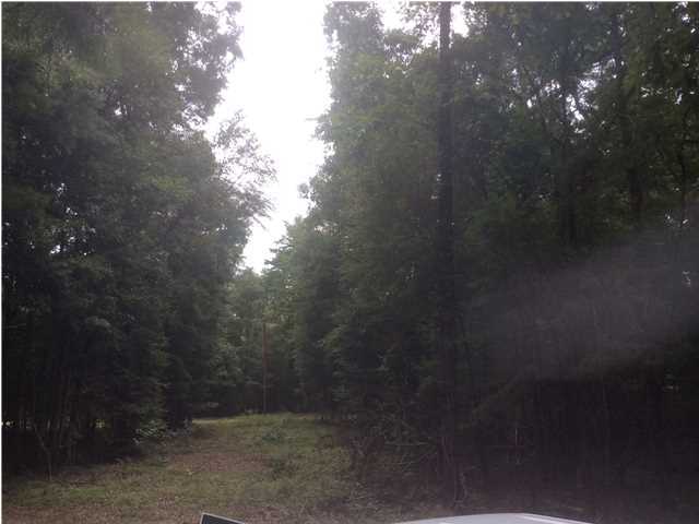 0 Long Creek Landing Road Ridgeville, SC 29472 - Photo 3 of 6 Additional Photo