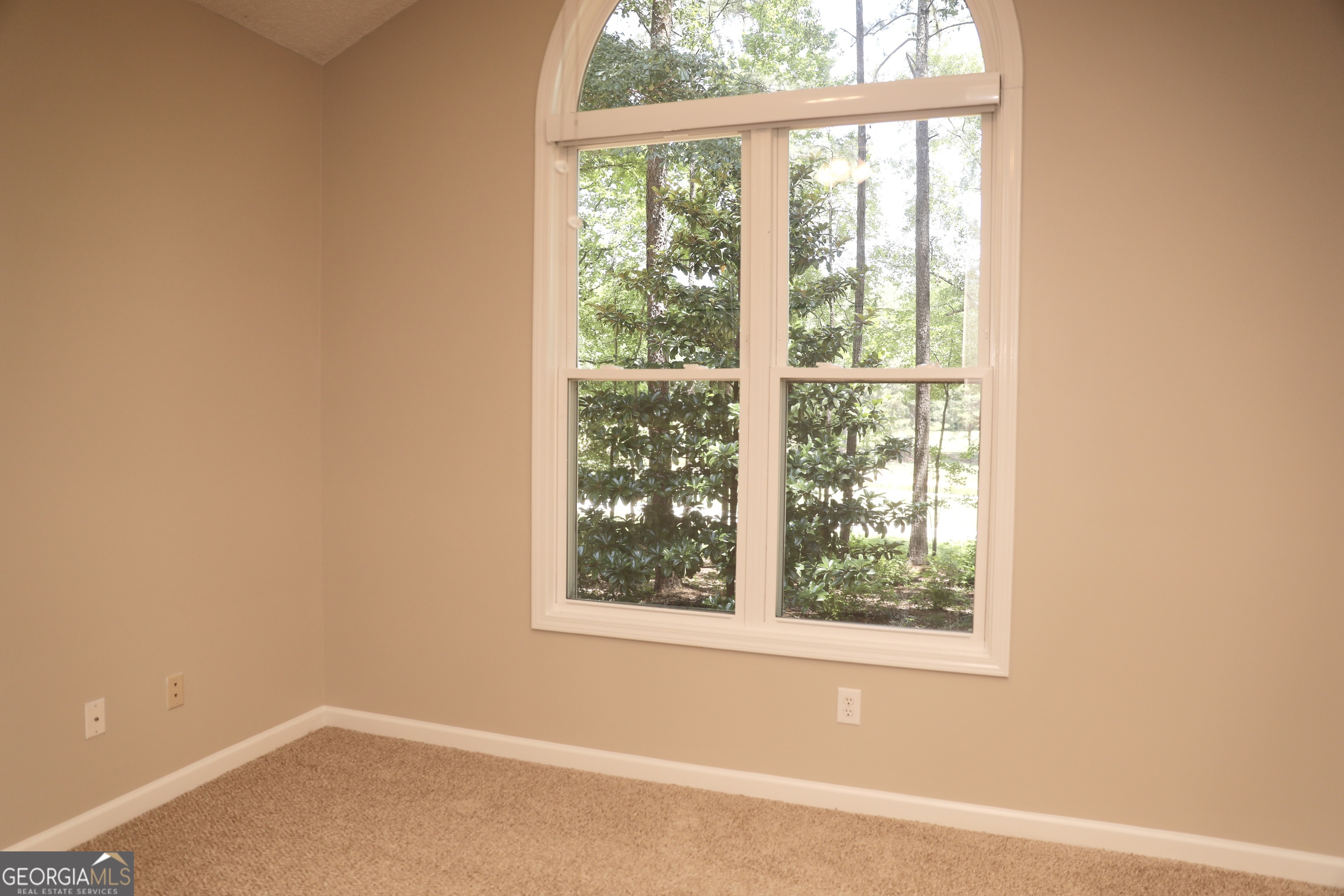 139 Pete Road Sharpsburg, GA 30277 - Photo 25 of 37