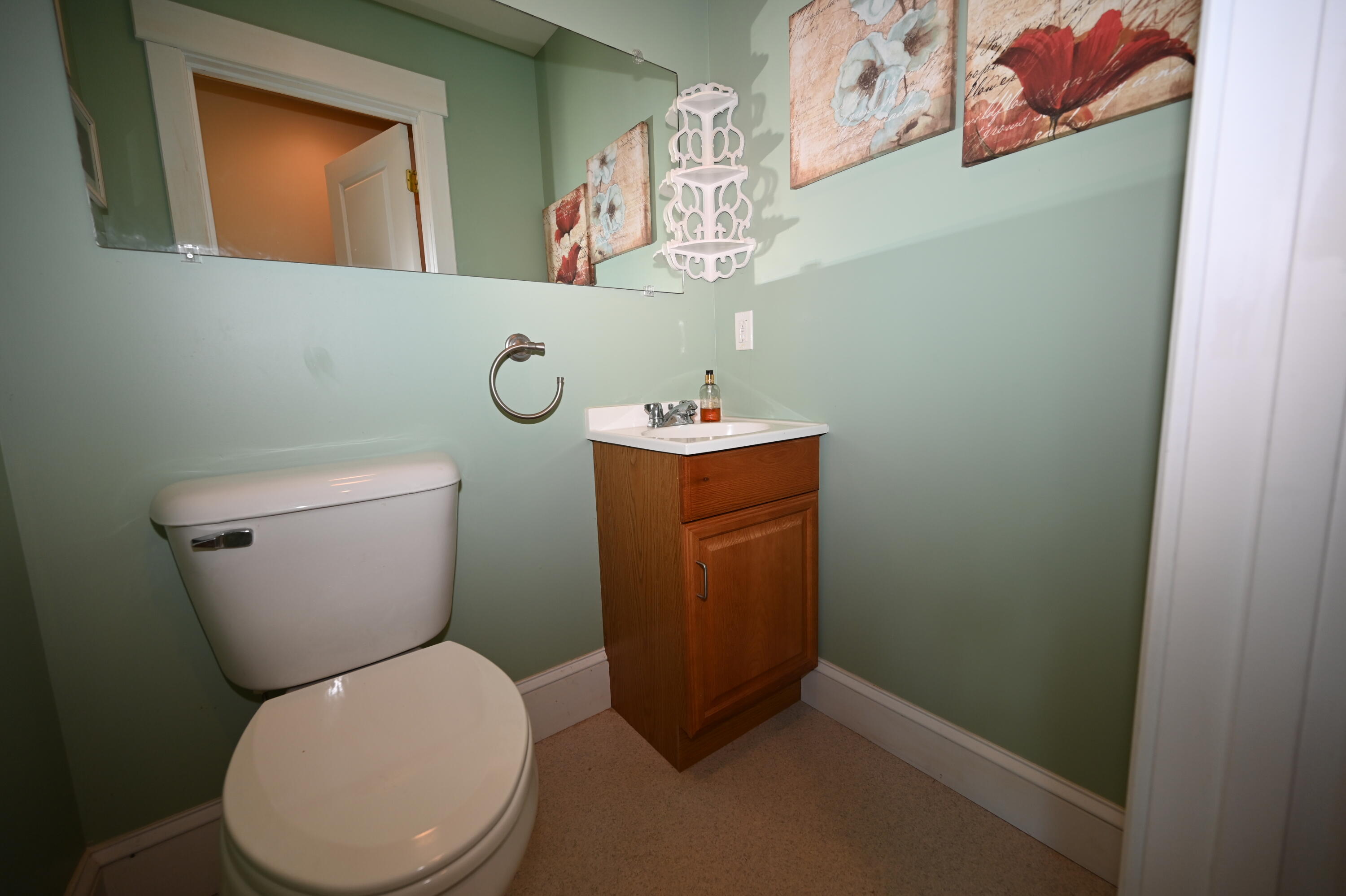 78 Sebago Road Sebago, ME 04029 - Photo 16 of 52 DSC_4451