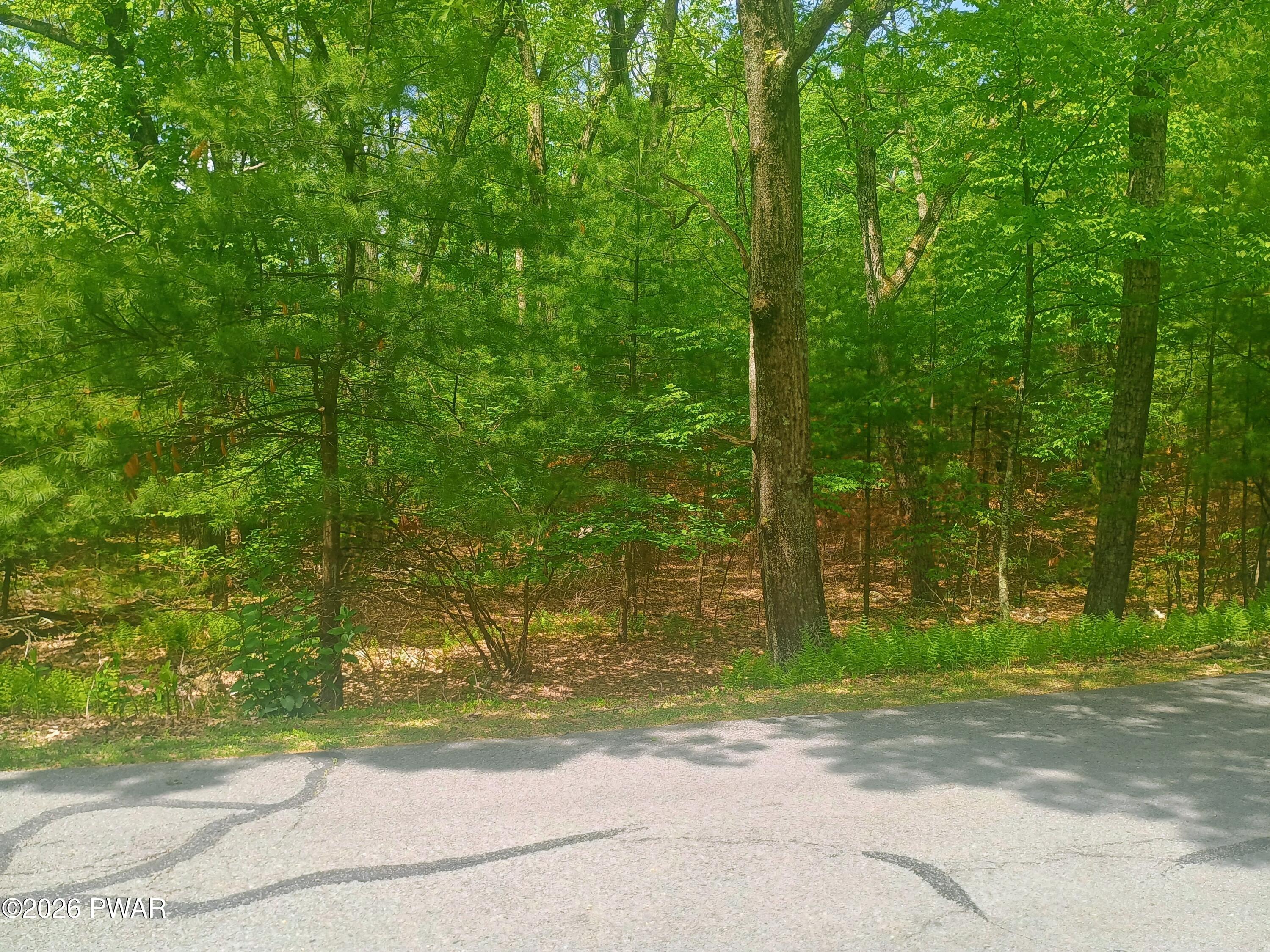 Oak Ridge Drive Milford, PA 18337 - Photo 2 of 4