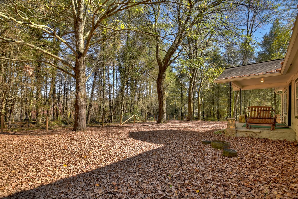 3380 Clear Creek Road Ellijay, GA 30536 - Photo 18 of 39 a view of a yard with trees in front of it