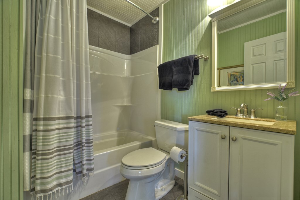 3380 Clear Creek Road Ellijay, GA 30536 - Photo 29 of 39 a bathroom with a sink a toilet and shower