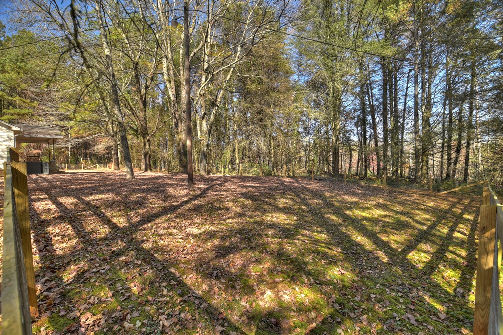 3380 Clear Creek Road Ellijay, GA 30536 - Photo 3 of 39