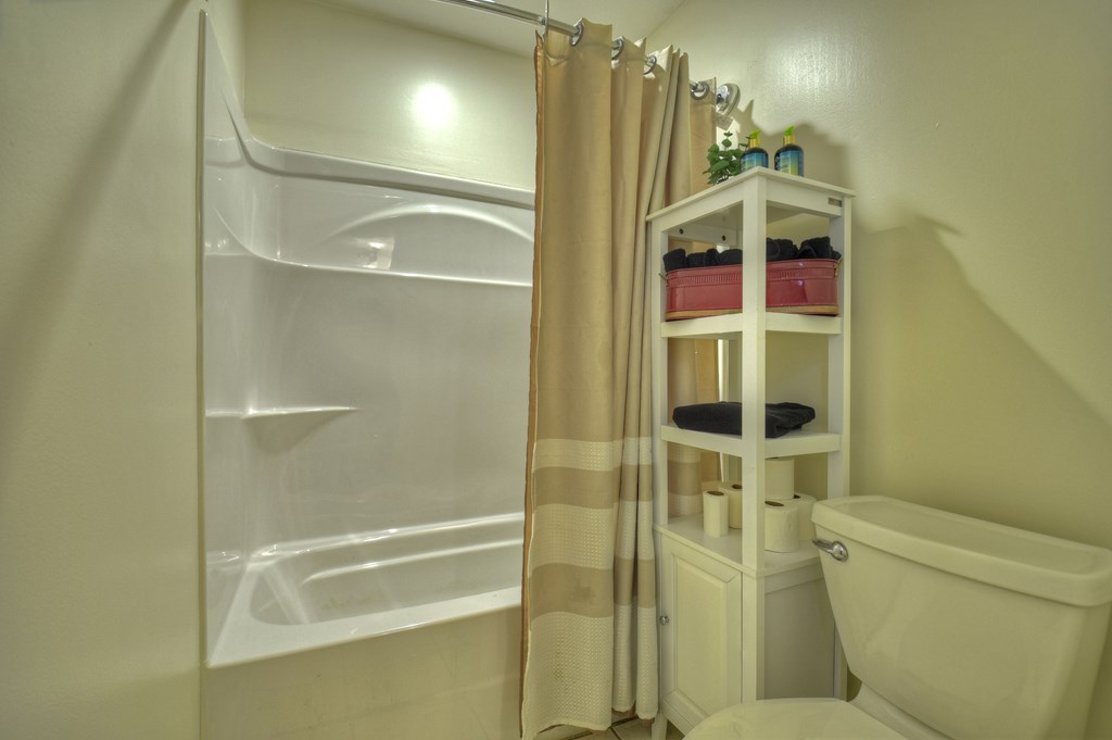 3380 Clear Creek Road Ellijay, GA 30536 - Photo 34 of 39 a bathroom with a shower