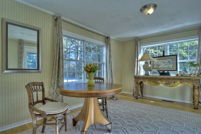 a view of a forest with trees