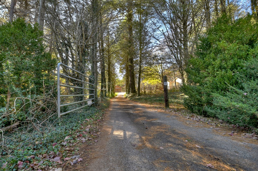 3380 Clear Creek Road Ellijay, GA 30536 - Photo 38 of 39 a view of a forest with trees