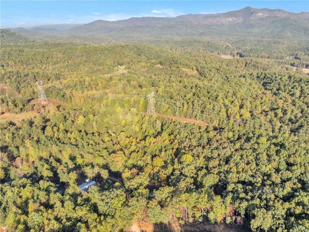 145 Bellwood Road Pickens, SC 29671 - Photo 22 of 26