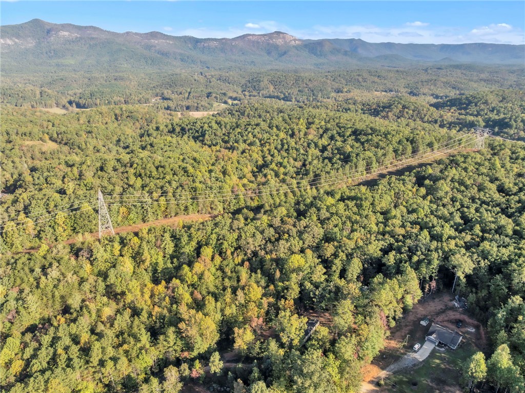 145 Bellwood Road Pickens, SC 29671 - Photo 23 of 26