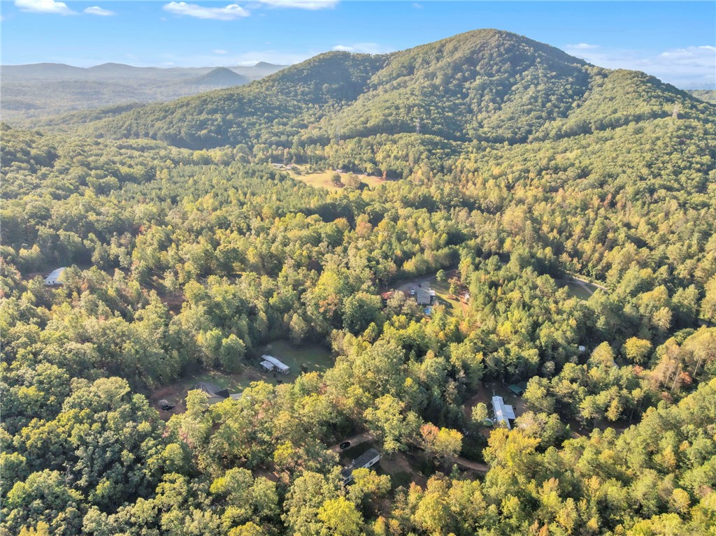 145 Bellwood Road Pickens, SC 29671 - Photo 26 of 26