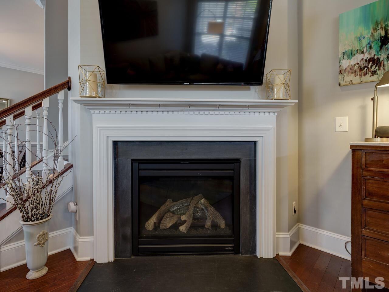 500 Deodar Lane Raleigh, NC 27608 - Photo 20 of 49 a living room with a fireplace and a potted plant