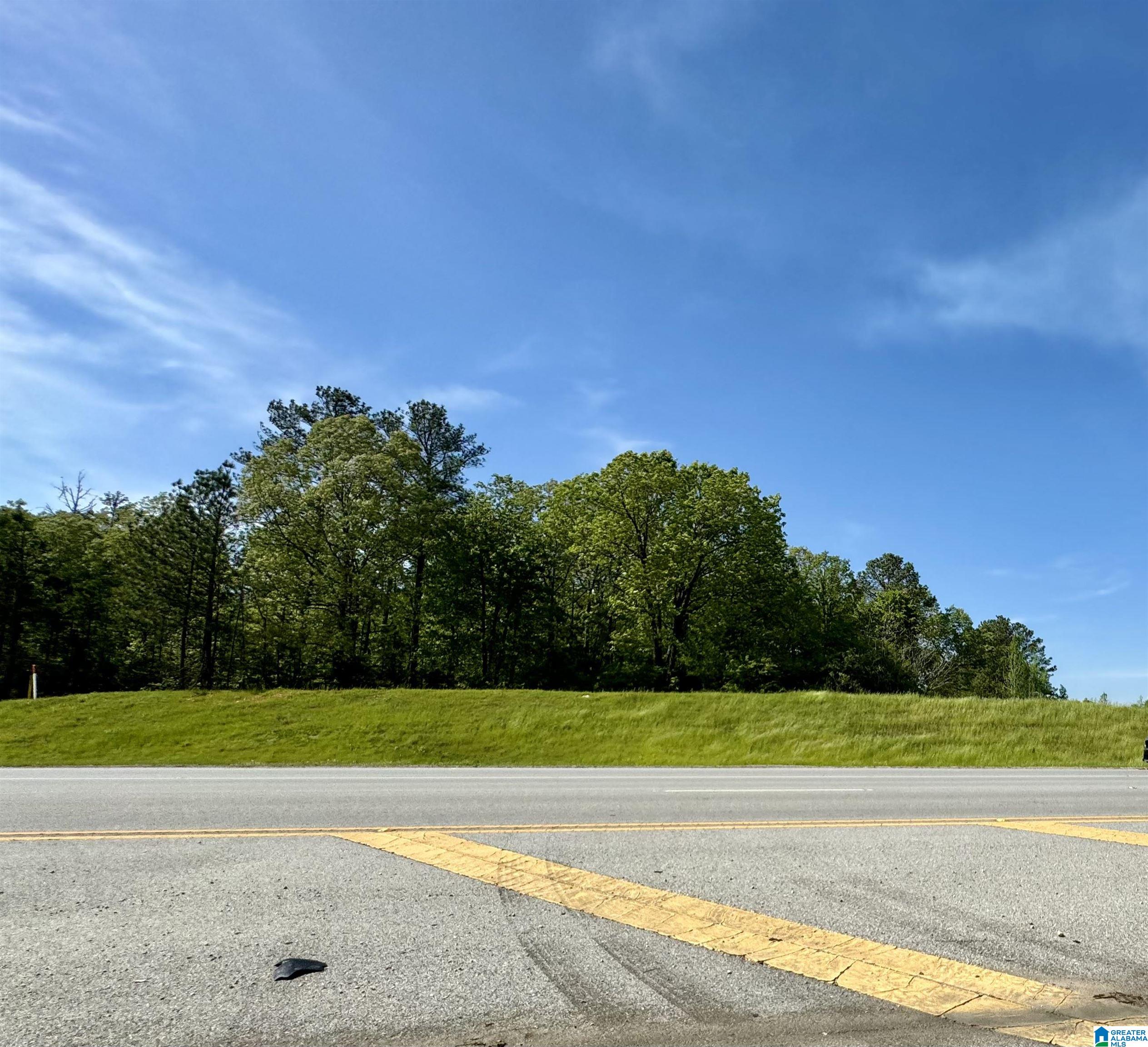 0 Coldwater Road Anniston, AL 36201 - Photo 18 of 25