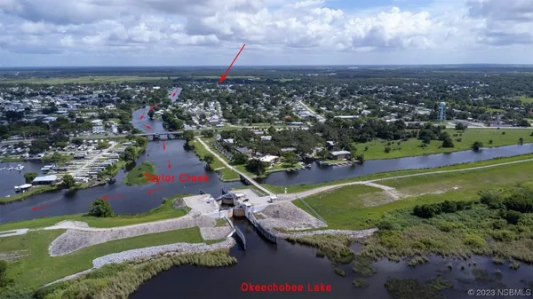 view of city and flowers