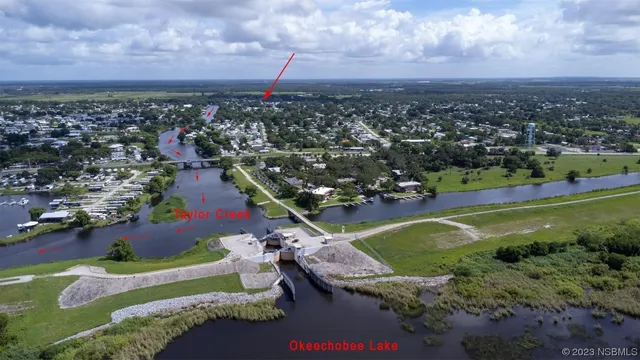 view of city and flowers