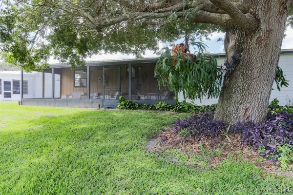 a front view of a house with a yard and a large tree
