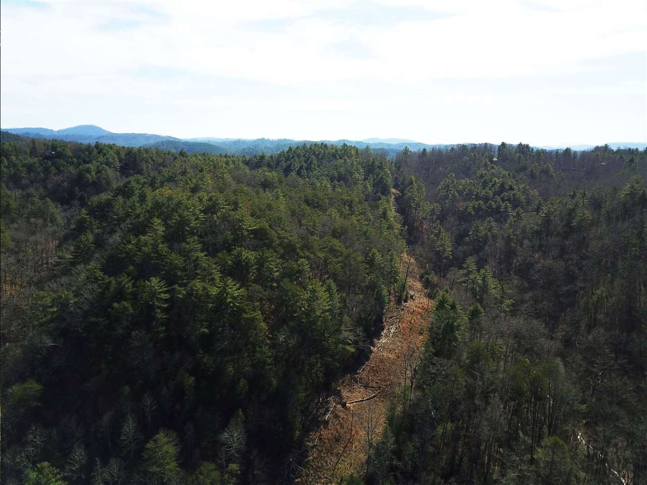 0 Towee Pike Reliance, TN 37369 - Photo 36 of 41