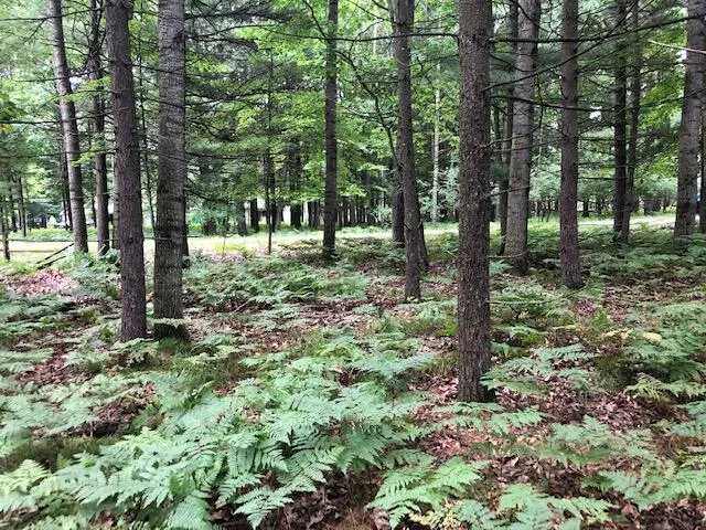 $7,500 | 6807 Beechnut Court, Stanwood, MI 49346