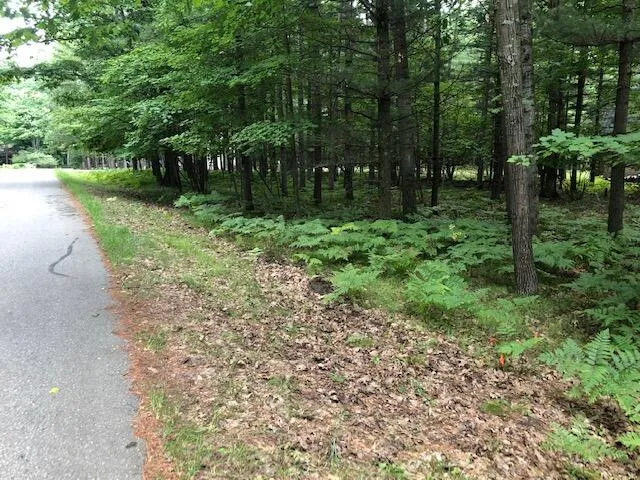 $7,500 | 6807 Beechnut Court, Stanwood, MI 49346