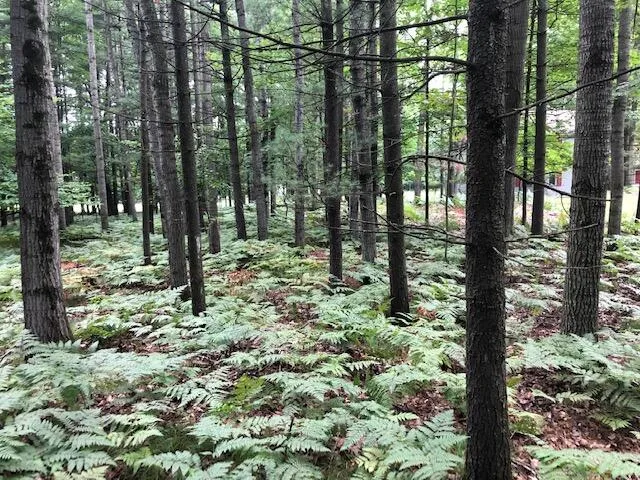 $7,500 | 6807 Beechnut Court, Stanwood, MI 49346