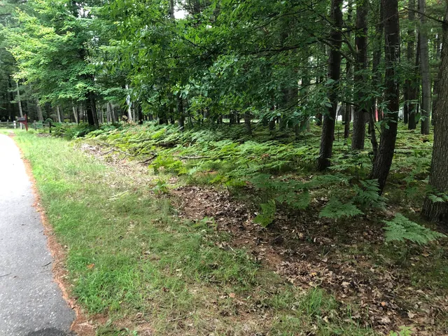 $7,500 | 6807 Beechnut Court, Stanwood, MI 49346