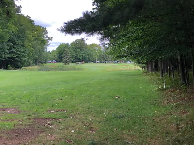 $7,500 | 6807 Beechnut Court, Stanwood, MI 49346